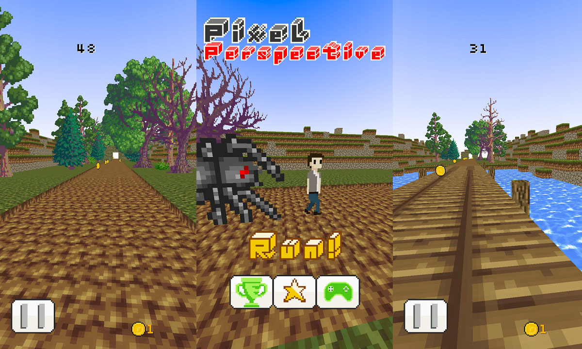 Pixel Perspective
